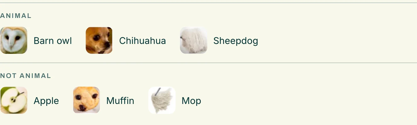 Test images used for classification: barn owl, chihuahua, mop, muffin, apple, sheepdog